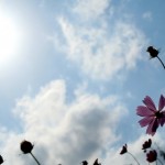 意外と知らない！妊娠初期の流産の種類！