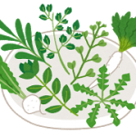 春の七草、秋の七草、簡単な覚え方はこれだっ！！