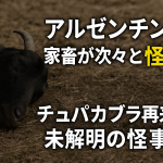 アルゼンチンで家畜が次々と怪死！チュパカブラ再来か？未解明の怪事件について！