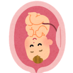 妊娠二人目ママさん！初期・中期・後期それぞれの時期、絶対に気をつけたいこと！